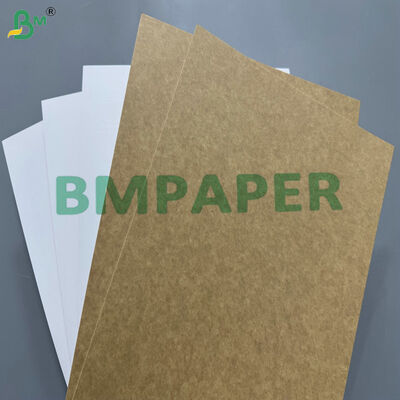 Single Side Coated with Smooth White Surface 300gsm Coated White Back Kraft Paper for High-Quality Printing Frozen Food Cartons