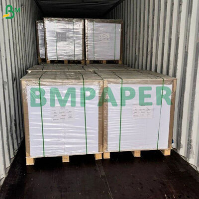 0.012" Caliper C1S Solid Bleached Sulfate ( SBS ) Paperboard for Tobacco Packaging