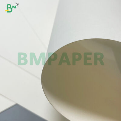 กระดาษซุปก๋วยเตี๋ยวร้อนเคลือบ PE 20gsm 24gsm ทนน้ำมันสูง