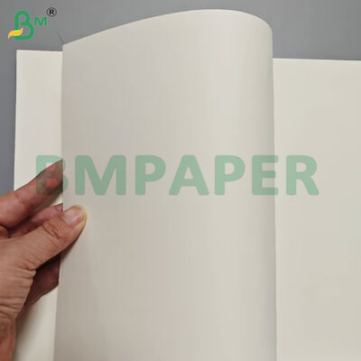 300gsm High Stiffness Food Grade Noodle Base Bowl Paper Sheets