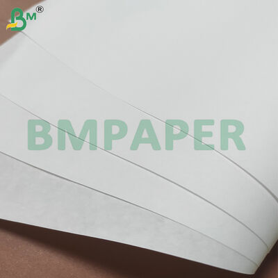 20gsm MG Bleached Kraft Machine Glazed Fruit Wrapping Paper Rolls