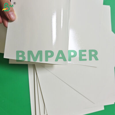 315gsm PET Food Board For Frozen Meals High Temperature Resistant 70 x 100cm