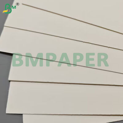175gsm+10gsm PET Coating Heat Resistant Food Box Paper Sheets