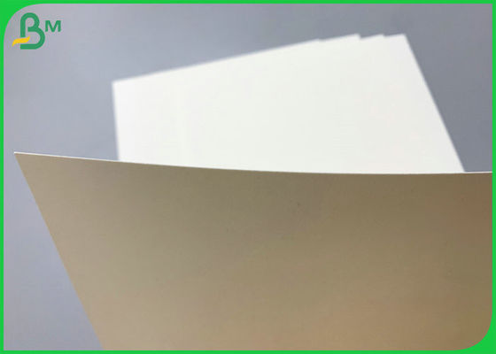 ใบรับรอง SGS 230g 260g PE เคลือบ Cupstock Base Paper 850mm Roll