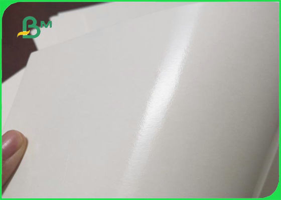 FDA White 260gsm 280gsm + กระดาษเคลือบ PE 15g สำหรับกล่องอาหารกลางวัน Good Stiffness