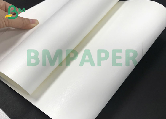 250gsm 300gsm + 15PE C1S C2S ม้วนกล่องสีขาวสำหรับถ้วยกระดาษที่ใช้แล้วทิ้ง
